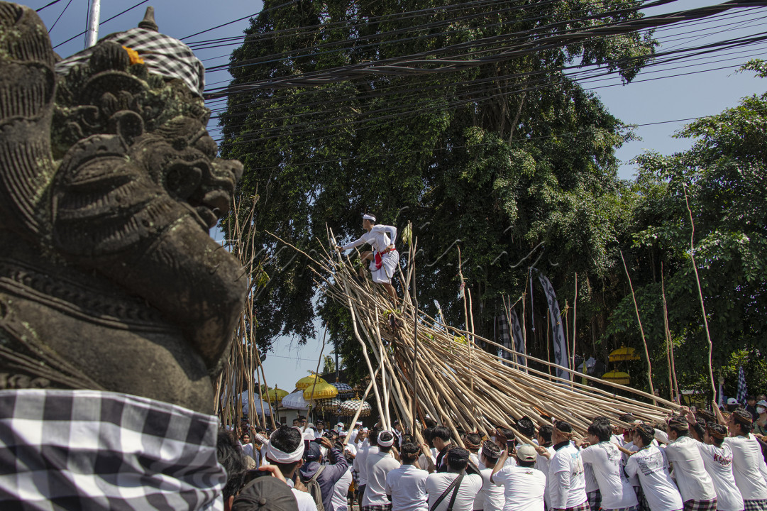 Mekotek atau dikenal juga dengan Gerebeg Mekotek merupakan sebuah tradisi yang digelar di Desa Munggu, Kecamatan Mengwi, Kabupaten Badung. Mekotek adalah tradisi yang menggunakan tongkat panjang dengan berjumlah puluhan hingga ratusan membentuk formasi layaknyanya piramid yang menjulang tinggi. Dari sinilah nama Kotekan ini diambil, dari suara &ldquo;tek tek tek&rdquo; yang berasal dari ujung tongkat yang saling bertemu. Tradisi Mekotek digelar tiap 210 hari yakni pada sabtu Kliwon atau bertepatan dengan Hari Raya Kuningan. Tradisi ini diikuti antusiasme masyarakat terutama masyarakat Desa Munggu.