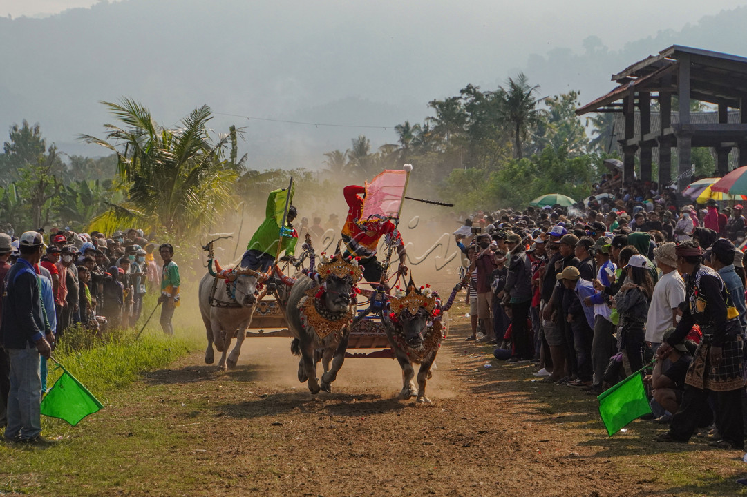 Tradisi Makepung adalah permainan balapan kerbau yang dilakukan masyarakat petani di Provinsi Bali, khususnya di Kabupaten Jembrana. Permainan ini sudah berlangsung secara turun-temurun, sehingga tradisi ini telah menyatu dengan kehidupaan masyarakat sekitar. Biasanya, tradisi dilakukan saat musim tanam padi sebagai sarana hiburan dan pengisi waktu luang. Tradisi ini juga dapat dilakukan saat panen raya.<br />
&nbsp;