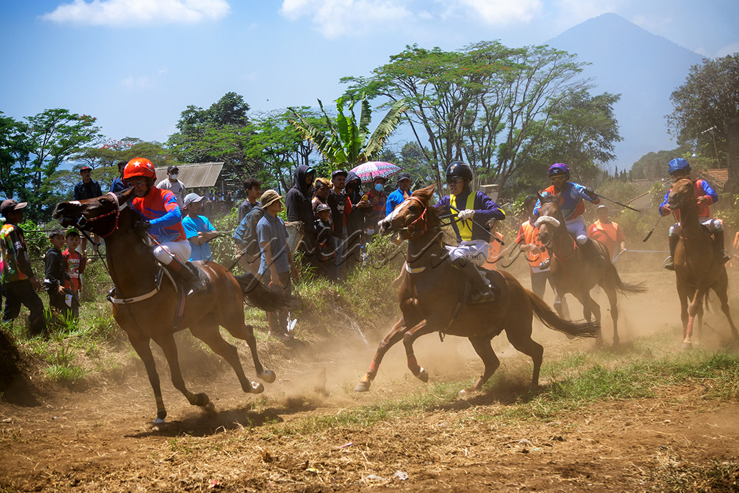 Sejumlah Joki anak - anak sedang mengacu kuda saat di mulainya pacuan kuda tradisional di Arena Balap Pacuan Kuda,Lembang, Kabupaten Bandung Barat, Jawa Barat, Kamis (31/8/2023).
<div>kegiatan lomba pacu kuda tradisional ini bertujuan merawat tradisi masyarakat Lembang yang telah berlangsung sejak tahun 1990. Selain itu, kegiatan ini menjadi salah satu hiburan rakyat dalam rangka HUT Republik Indonesia ke 78 sekaligus ajang mencari bibit atlet pacuan kuda dan upaya untuk meningkatkan nilai jual kuda.</div>