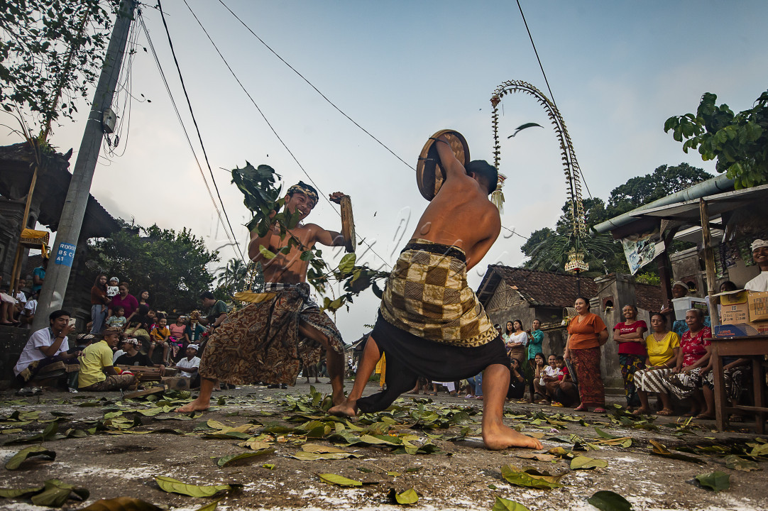 Tradisi Grudug Langsat adalah suatu Tradisi yang rutin dilaksanakan setiap Hari Raya Galungan di Rendang, Karangasem Bali