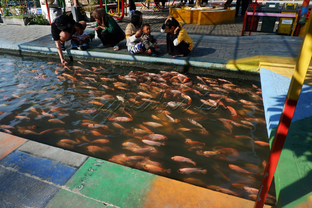 Banyak tempat wisata di sekitar tempat tinggal, salah satunya memberi makan ikan ikan Nila yang di budidayakan oleh kelompok karang taruna yang memakai saluran irigasi, juga sebagai upaya kebersihan sungai.