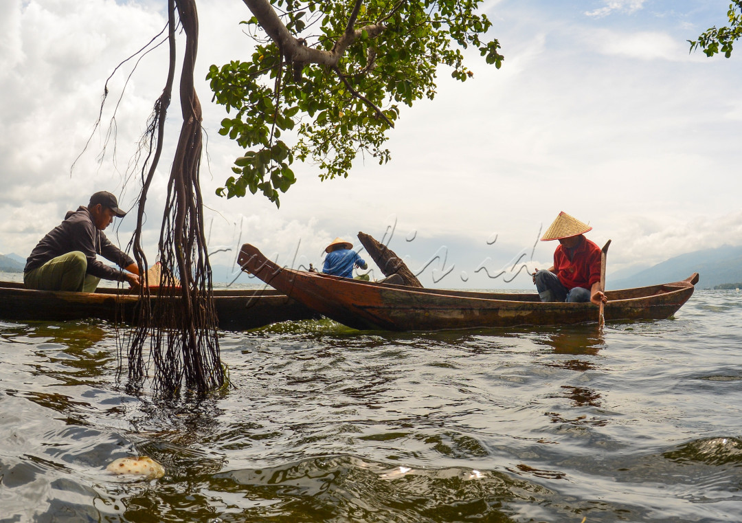 Para nelayan yang berada di danau Singkarak ini menggantungkan hidupnya dari hasil tangkapan ikan bilih (bilis) yang terdapat di danau tersebut.<br />
nelayan disini masih berjuang untuk menjaring ikan dengan cara menaiki sampan dan menjaring dengan jala.<br />
Ikan bilis terkenal dengan rasanya yang enak, sehingga permintaan ikan ini terus meningkat dan tentunya membantu perekenomian warga sekitar danau Singkarak ini.