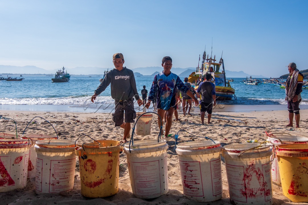 Ekonomi kelautan&nbsp;berkaitan dengan pemanfaatan sumber daya alam yang terdapat di laut, seperti minyak dan gas, hasil perikanan, dan industri perkapalan.<br />
sebagai Nelayan keluarga sangat bergantung pada hasil tangkapan ikan yg merupakan kekayaan hayati lautan indonesia