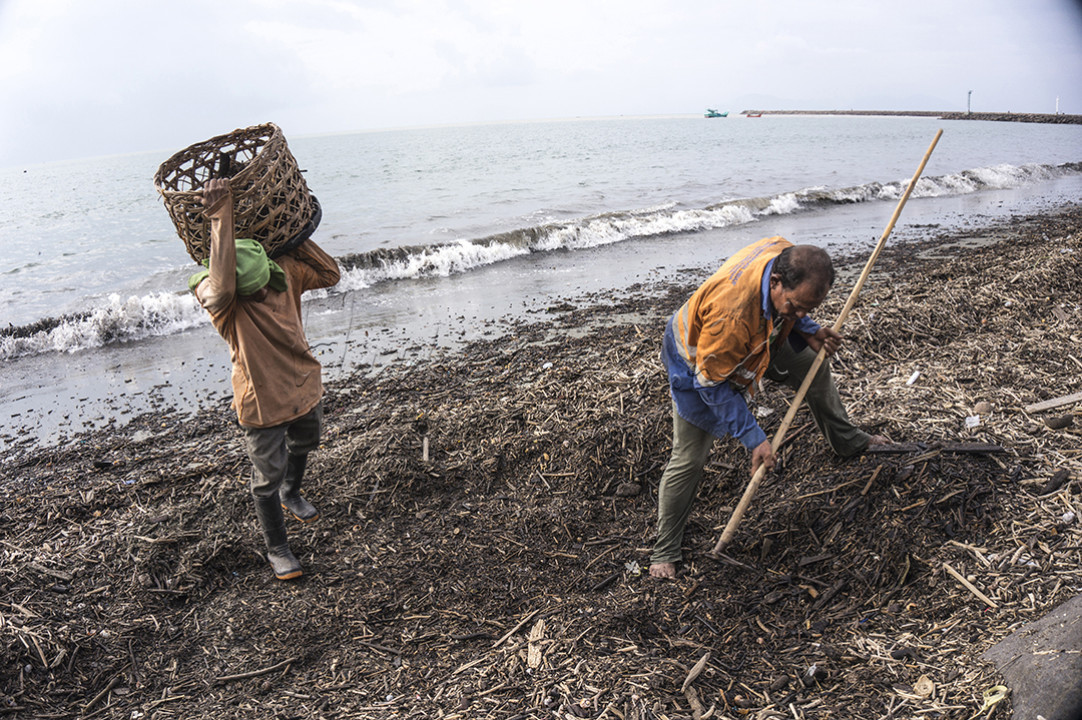 Petugas membersihkan sampah laut yang terdorong ke pantai akibat gelombang pasang dii Kampung Jawa, Banda Aceh, Sabtu (21/10/2023).