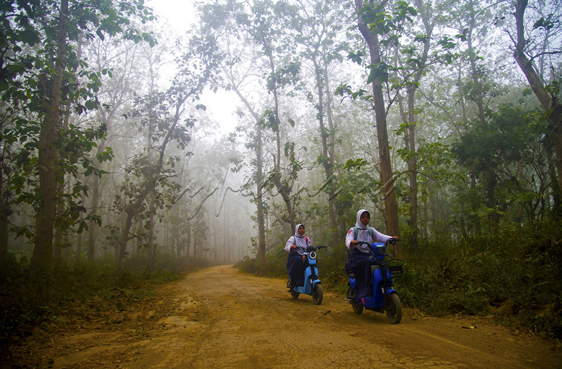 Mila dan Nanda, dua sahabat satu sekolah di SMPN 2 Ambulu dan berasal dari keluarga sederhana yang tinggal di kawasan hutan, yakni Dusun Ungkalan, Kecamatan Ambulu, Jember, Jawa Timur (24/09/2023). Semangat belajar anak dusun ini patut diacungi jempol, karena tiap pagi hari berangkat sekolah secara bersamaan melintasi hutan yang seringkali berkabut dengan sepeda listrik kesayangan ke pusat Kota Ambulu.