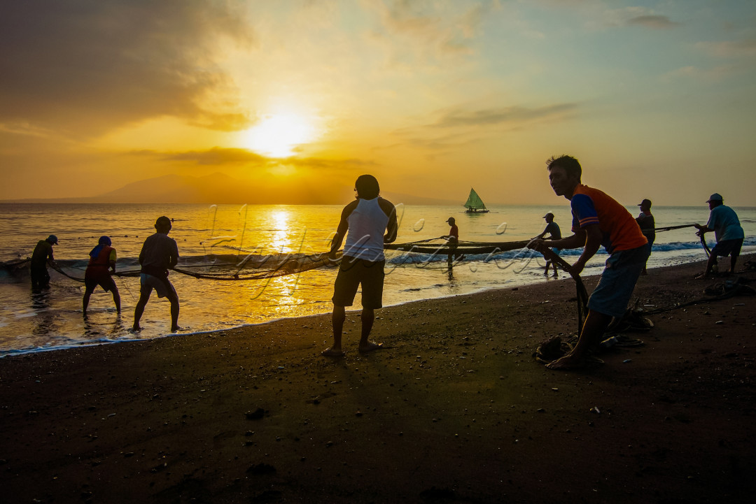 Masyarakat nelayan saling bahu membahu menarik jala ikan panjang di pantai pulau Santen Banyuwangi. Kegiatan ini merupakan bentuk solidaritas warga dan nelayan dalam kehidupan masyarakat pesisir&nbsp;