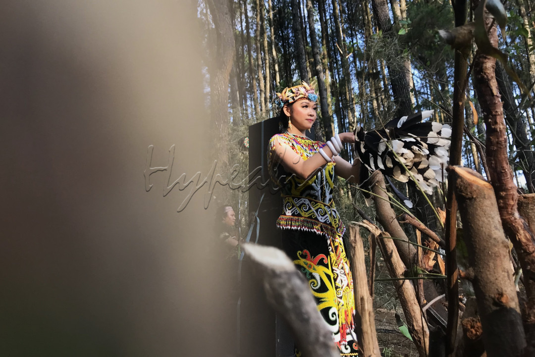 Keindahan budaya tarian kalimantan di tengah rerimbunan hutan.