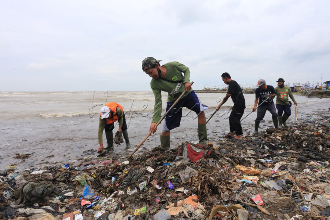 Warga bergotong royong membersihkan sampai di pantai dadap Indramayu