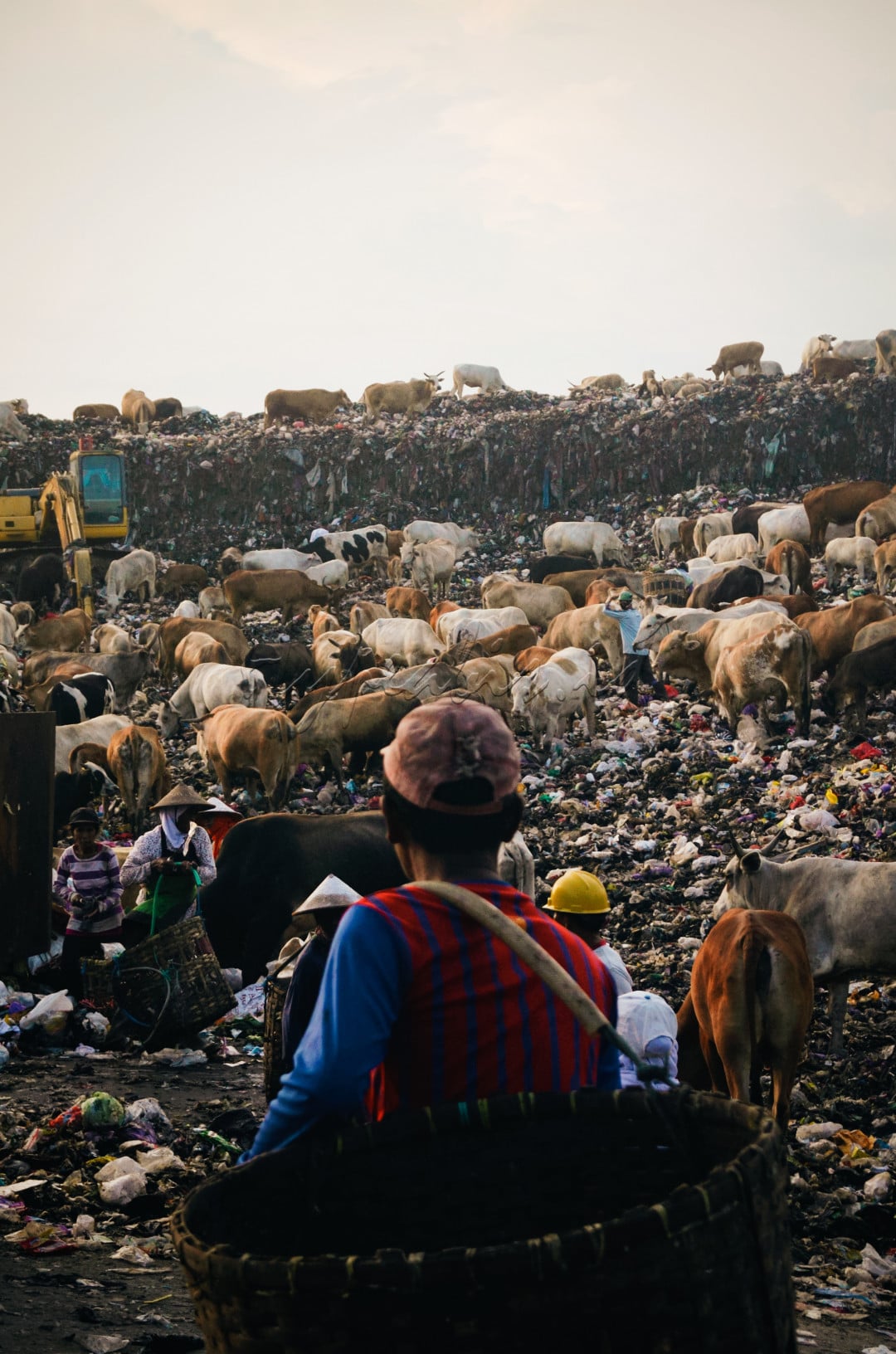 Piyungan, sebuah nama yang mungkin belum begitu dikenal oleh banyak orang, namun kini menjadi saksi bisu dari kompleksitas permasalahan sampah yang menghadang. TPST Piyungan, Tempat Pembuangan Sampah Terpadu di kawasan tersebut, menjadi pusat sorotan karena tantangan dan dampak lingkungan yang dihadapinya.<br />
<br />
Seiring dengan pertumbuhan penduduk dan urbanisasi yang pesat, TPST Piyungan menjadi terjebak dalam perang melawan volume sampah yang terus meningkat. Timbunan sampah yang meluas bukan hanya menciptakan pemandangan yang tidak sedap, tetapi juga menghadirkan risiko terhadap kesehatan masyarakat setempat.<br />
<br />
Salah satu masalah kritis adalah pengelolaan limbah yang kurang efisien. Meskipun TPST dirancang untuk mengatasi masalah sampah, namun kurangnya teknologi modern dan infrastruktur yang memadai seringkali menjadi hambatan. Pengelolaan limbah yang tidak terkendali dapat mengakibatkan pencemaran air dan tanah, membawa dampak negatif bagi ekosistem sekitar dan kesehatan manusia.<br />
<br />
Namun, di tengah tantangan ini, ada harapan. Masyarakat setempat, bersama-sama dengan pihak berwenang dan organisasi lingkungan, berupaya mencari solusi terbaik. Kampanye edukasi untuk meningkatkan kesadaran tentang pengelolaan sampah yang baik, serta investasi dalam teknologi ramah lingkungan, menjadi langkah-langkah penting untuk mengubah nasib TPST Piyungan.<br />
<br />
Tentu saja, solusi tidak datang dengan cepat, tetapi dengan kerjasama dan tekad bersama, TPST Piyungan dapat menjadi percontohan bagi upaya pembangunan berkelanjutan. Dengan menjaga kebersihan dan keberlanjutan lingkungan, kita tidak hanya memperbaiki TPST, tetapi juga memberikan warisan yang lestari bagi generasi mendatang.