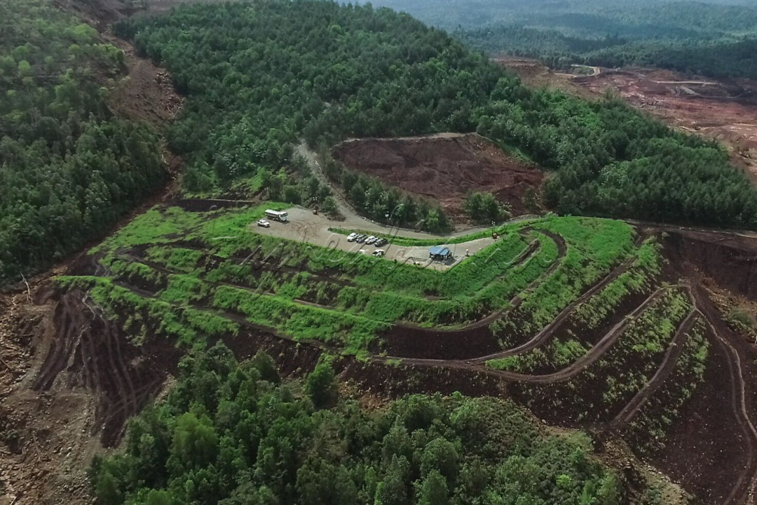 Beberapa tanaman yang tumbuh di lahan tersebut diantaranya kayu putih hingga sereh wangi.
