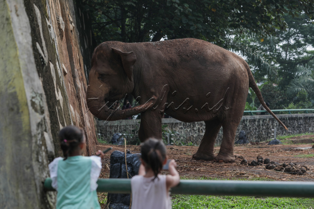 Warga berwisata di Taman Margasatwa Raguanan, Jakarta.&nbsp;