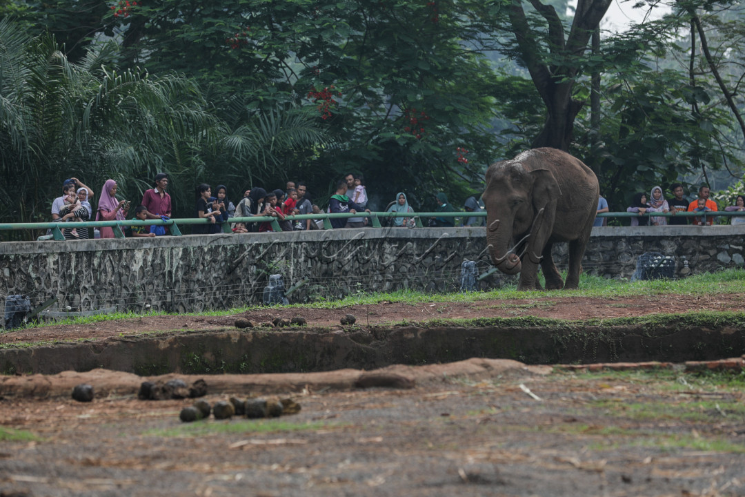 Memasuki libur awal tahun sejumlah warga memanfaatkan dengan berlibur ke sejumlah pbjek wisata di ibu kota.