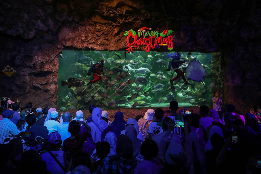 <br />
Penyelam berpakaian Santa Claus menghibur pengunjung di akuarium Sea World Ancol, Jakarta.