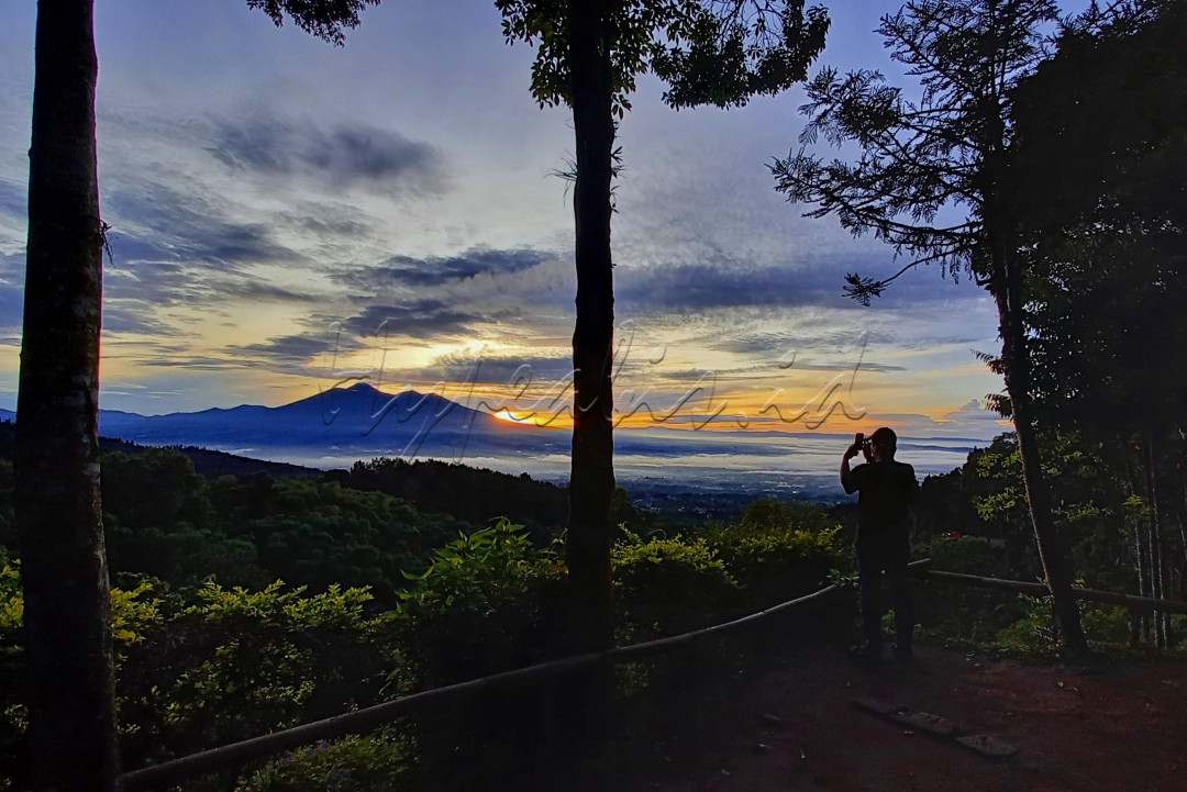 Pengunjung menikmati matahari pagi di Cidahu Camping Ground, Sukabumi, Jawa Barat.