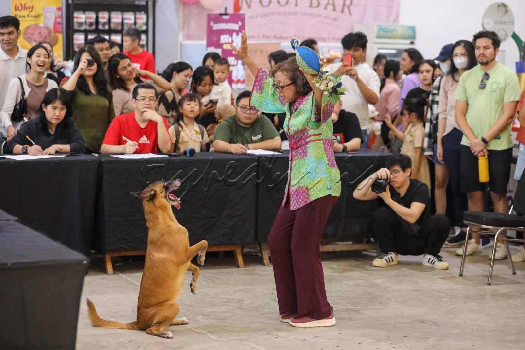 Puluhan anjing peliharaan dari berbagai ras berlenggak-lenggok pada ajang peragaan busana di Pet Expo Roadshow 2024 di Jakarta. Layaknya manusia, anjing-anjing tersebut dibalut beragam kostum mulai dari gaun pesta, seragam sekolah, hingga pakaian olah raga yang selaras dengan pemiliknya.&nbsp;