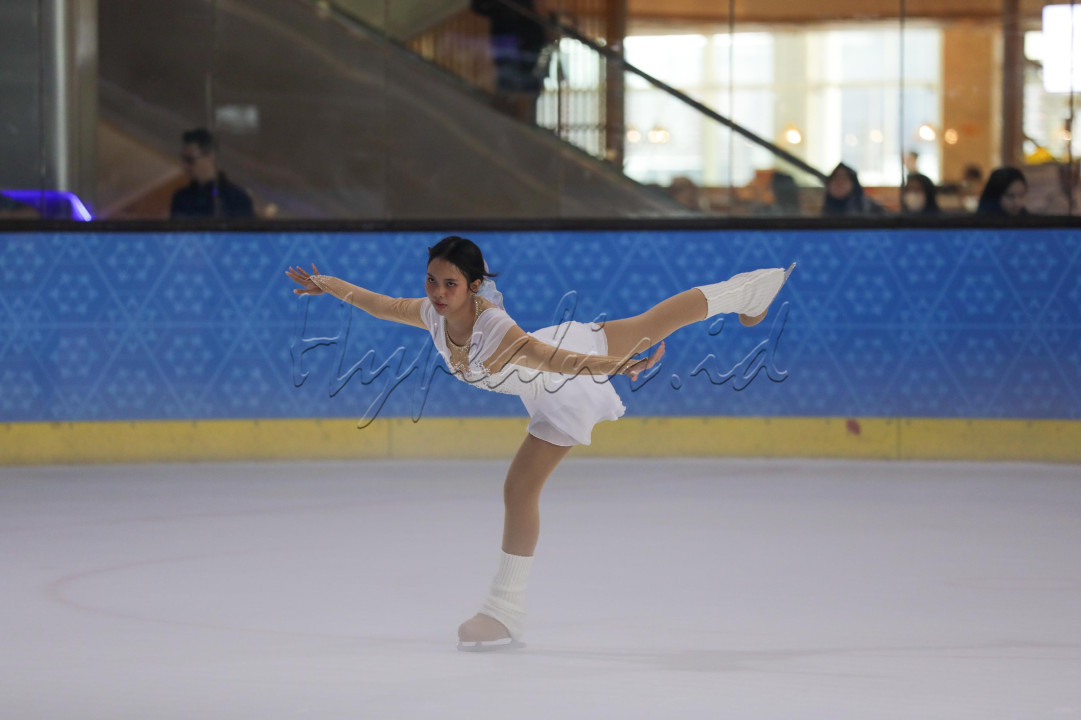 IISO adalah lomba figure skating atau seluncur indah yang diikuti peserta, mulai balita hingga lansia. Terdapat 10 kategori yang dipertandingkan, yakni Technical, Artistic, Footwork, Spotlight, Surprise, Speed Racing, Open Freestyle, Team Compulsories, Synchro Team, dan Production Team.