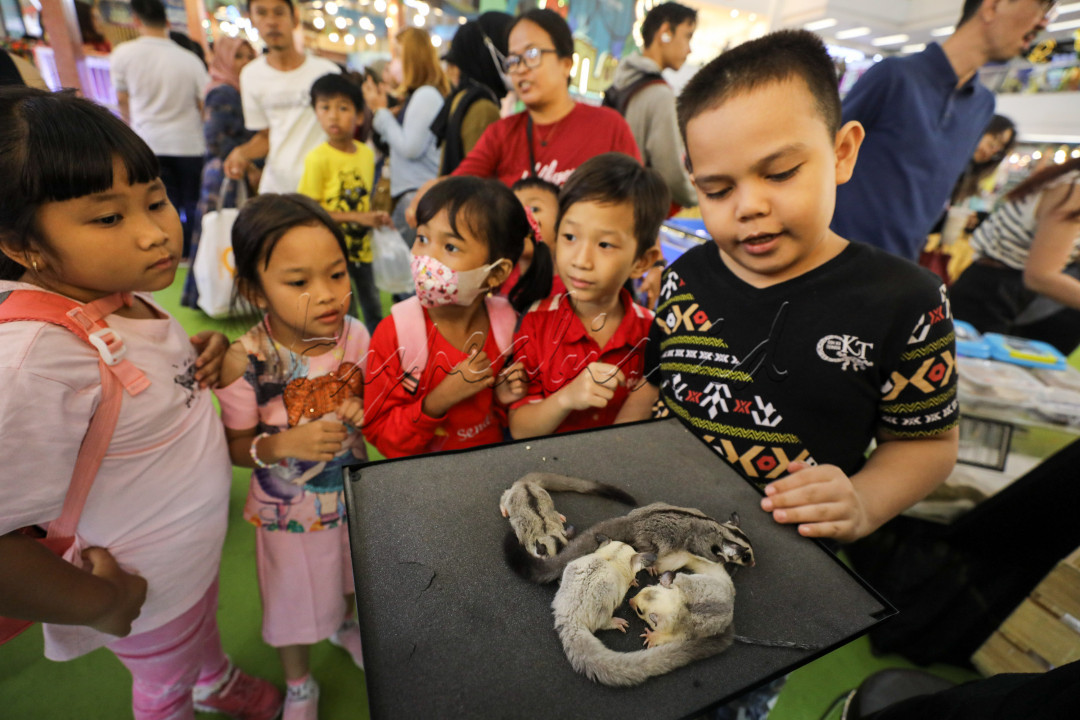 Ratusan hewan peliharaan berlenggak lenggok, memancing decak kagum para pengunjung Mal Ciputra, Jakarta. Hewan-hewan tersebut berinteraksi dengan para pecinta binatang mulai dari anak-anak, remaja, hingga orang tua.&nbsp;<br />
&nbsp;
