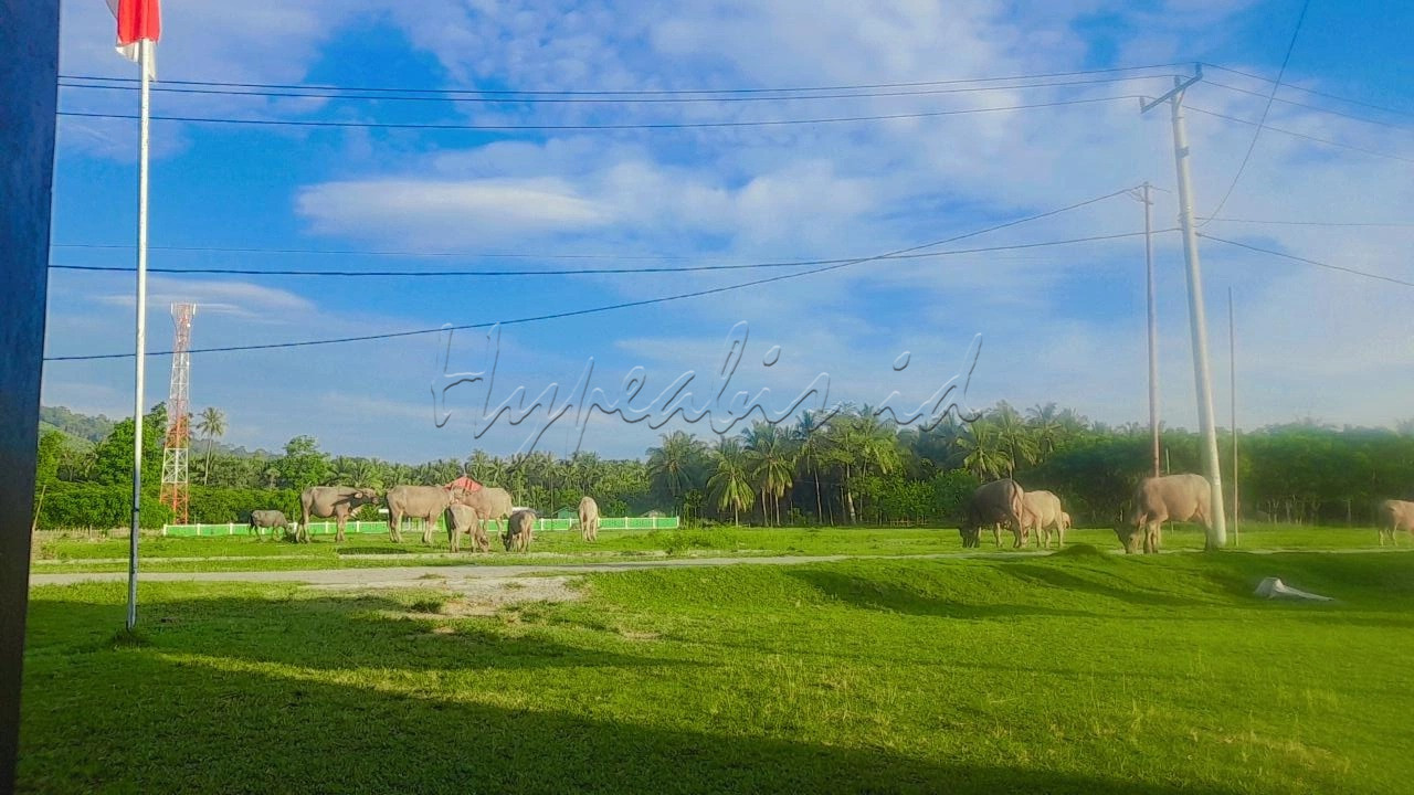 Keindahan bumi Lampung&nbsp;