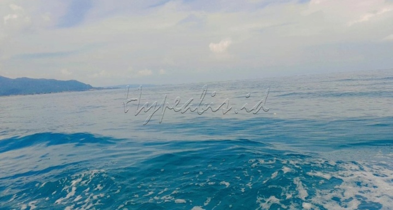 Laut