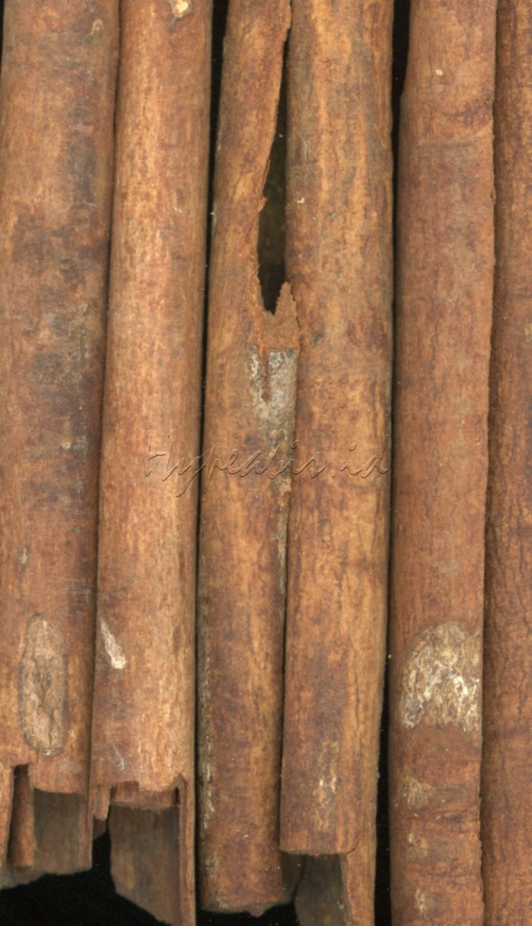Kayu manis adalah rempah-rempah yang sangat dihargai karena aromanya yang khas dan rasa manisnya yang unik, sehingga menjadi komoditas bernilai tinggi dalam perdagangan internasional. Permintaan yang tinggi terhadap kayu manis telah mendorong eksplorasi dan penjelajahan samudra, bahkan memicu persaingan antarbangsa untuk menguasai jalur perdagangan rempah-rempah.