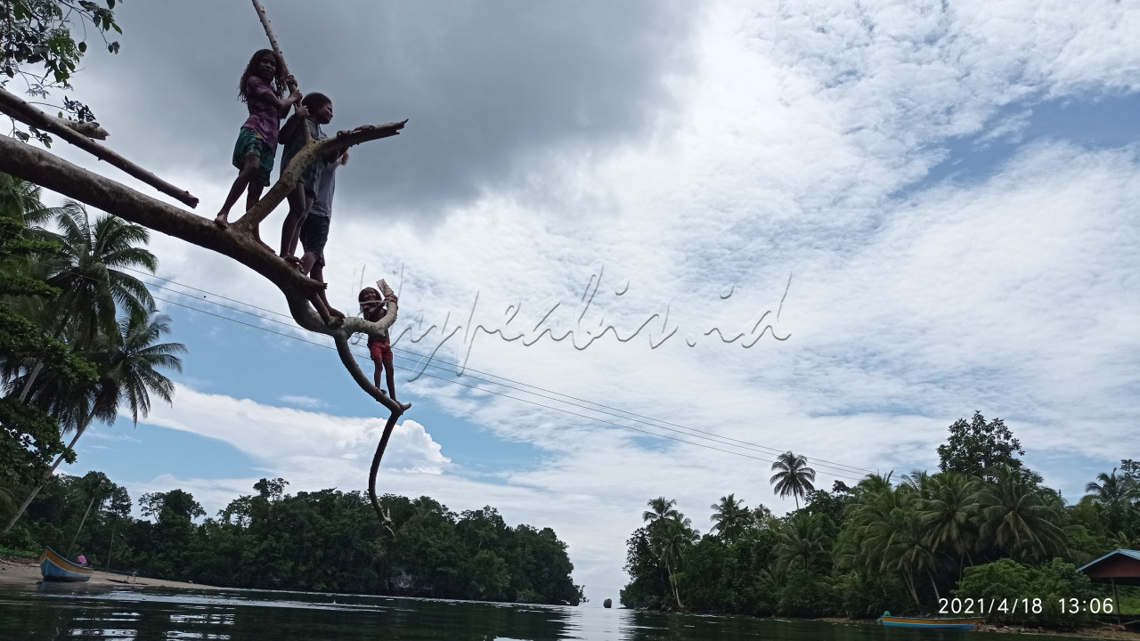ANAK-ANAK PAPUA SEDANG ASIK BERMAIN DI RANTING POHON DEKAT PANTAI