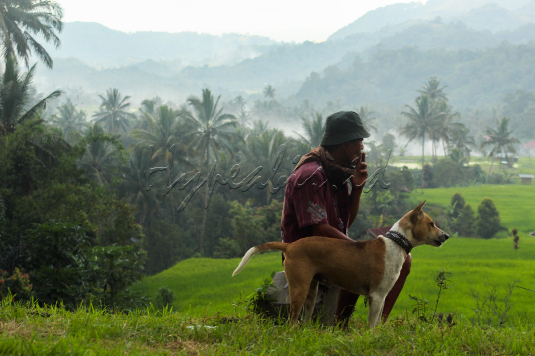 Foto ini menampilkan momen santai seorang pemilik anjing yang sedang duduk merokok, ditemani anjing kesayangannya. Di latar belakang, terbentang pemandangan pegunungan yang megah, hamparan sawah hijau yang menyejukkan mata, dan langit biru yang dihiasi awan putih yang lembut. Keharmonisan antara manusia, hewan, dan alam dalam suasana tenang ini menciptakan gambaran keseimbangan hidup yang damai dan menyatu dengan alam.
