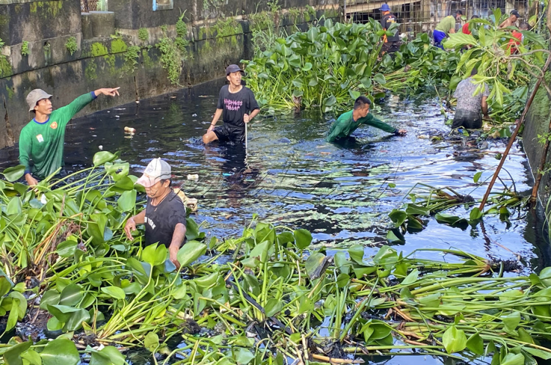 Kegiatan Gotong Royong yang Rutin dilaksanakan setiap hari Minggu oleh Pemkot Palembang bersama masyarakat.