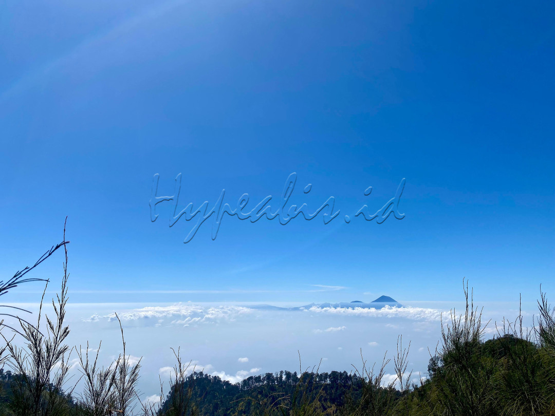 Gunung Butak&nbsp;adalah sebuah&nbsp;gunung berapi kerucut&nbsp;yang terletak di perbatasan&nbsp;Kabupaten Malang&nbsp;dan&nbsp;Kabupaten Blitar&nbsp;dalam wilayah&nbsp;Provinsi Jawa Timur,&nbsp;Indonesia. Gunung Butak terletak berdekatan dengan&nbsp;Gunung Kawi dan Gunung Panderman