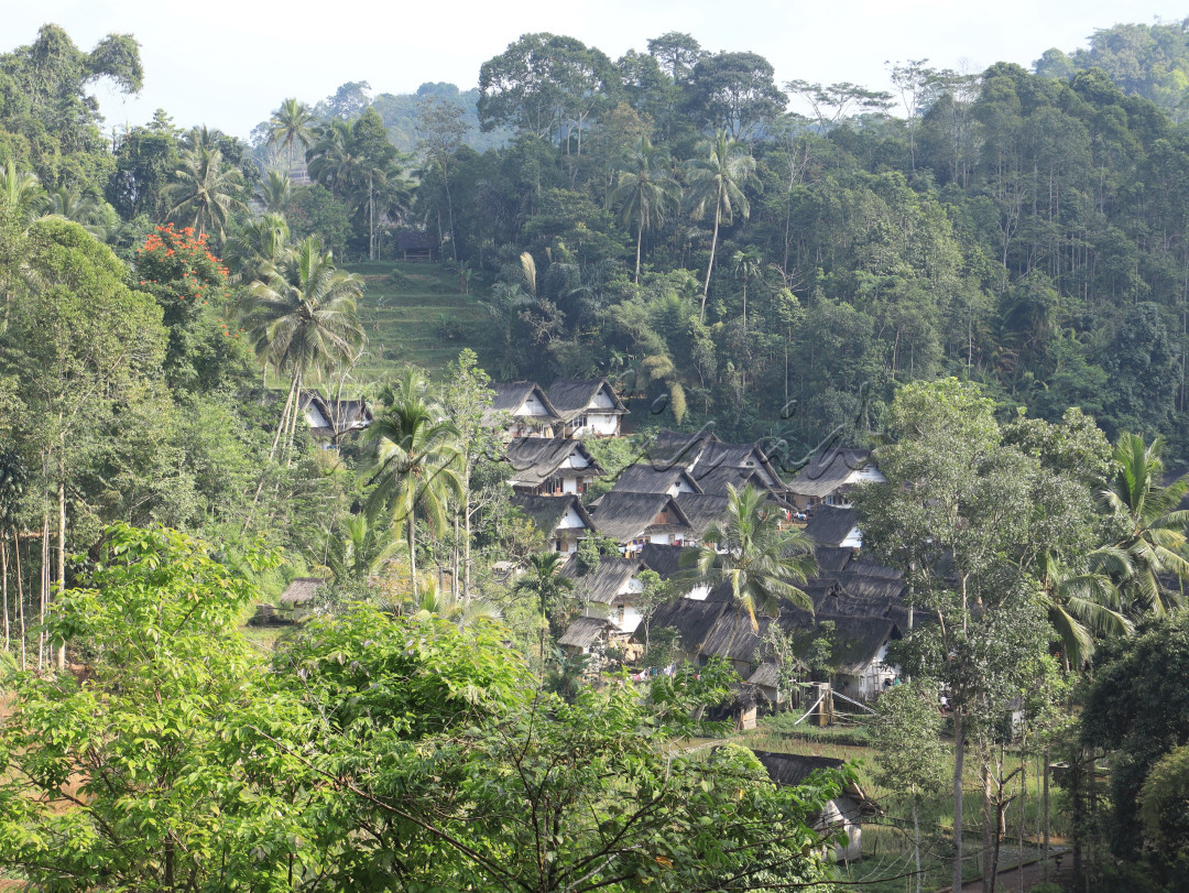 Di tengah hiruk-pikuk modernisasi dan globalisasi, Kampung Naga tetap&nbsp;<br />
berdiri kokoh sebagai salah satu simbol keteguhan masyarakat adat dalam mempertahankan tradisi dan budaya leluhur. Kampung ini terletak di Neglasari, Kecamatan Salawu, Kabupaten Tasikmalaya, Jawa Barat, dan&nbsp;<br />
dikenal luas karena keunikannya dalam menjaga warisan budaya Sunda yang khas dan autentik.&nbsp;<br />
<br />
Kampung Naga bukan sekadar permukiman, ia adalah sebuah representasi dari kehidupan tradisional yang terjaga dengan baik. Desa ini berada di lembah yang dikelilingi oleh bukit-bukit dan sungai Ciwulan, memberikan panorama alam yang mempesona bagi mereka yang ingin mengunjunginya. Masyarakat Kampung Naga hidup dengan prinsip&nbsp;harmoni antara manusia dan alam, yang tercermin dalam berbagai aspek kehidupan sehari-hari mereka.
