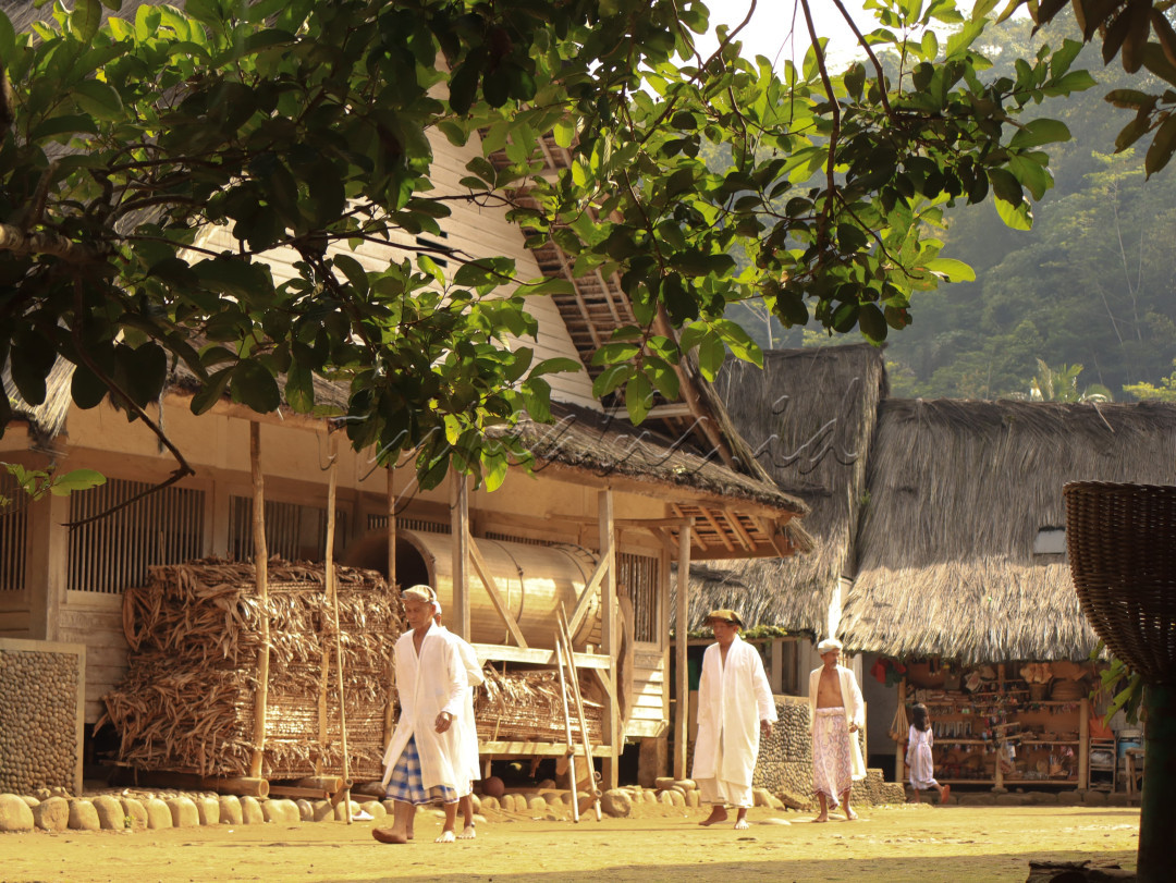 Hajat Sasih adalah sebuah ritual yang dilakukan masyarakat Kampung Naga (terkhusus laki-laki) sebagai bentuk syukur kepada Tuhan Yang Maha Esa atas segala berkah yang telah diberikan, serta memohon keselamatan dan kesejahteraan bagi seluruh warga kampung. Upacara ini juga berfungsi sebagai momen introspeksi dan refleksi, di mana masyarakat Kampung Naga dapat merenungkan hubungan mereka dengan alam dan sesama manusia.<br />
<br />
Upacara Hajat Sasih yang dilaksanakan di Kampung Naga adalah perayaan ziarah ke makam leluhur yang diadakan setiap dua bulan sekali, sebanyak enam kali dalam setahun. Perayaan ini bertujuan untuk menghormati dan mengenang leluhur, serta menjaga tradisi dan budaya yang telah diwariskan secara turun-temurun. Setiap dua bulan, masyarakat Kampung&nbsp;Naga berkumpul untuk menjalani prosesi yang dipimpin oleh para tetua adat, mulai dari bebersih, pemakaian kain adat khas Kampung Naga, tahap pelaksanaan meliputi Unjuk-unjuk, pembersihan Pangsholatan, dan tahap penutup yaitu, ritual akhir dan Murak tumpeng.