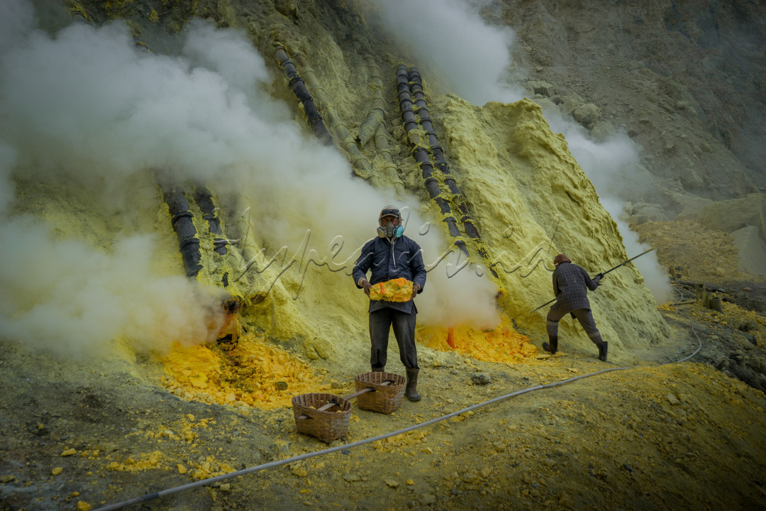 Terlihat beberapa penambang tengah mengambil bongkahan-bongkahan belerang ditengah pekatnya kepulan asap belerang dan mengangkutnya dengan menggunakan keranjang bambu kemudian dipikul dengan menaikkan tebing kawah ijen yang curam hingga akhirnya nanti belerang tersebut ditimbang di pos penimbangan belerang di Paltuding