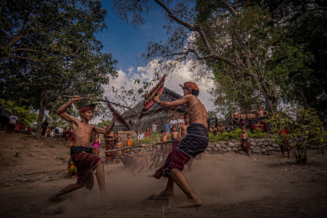 Peresean adalah pertarungan antara dua lelaki yang bersenjatakan tongkat rotan dan berperisai kulit kerbau yang tebal dan keras. Tradisi ini dilakukan oleh masyarakat suku Sasak, Lombok, Nusa Tenggara Barat, Indonesia. Peresean termasuk dalam seni tari daerah Lombok.