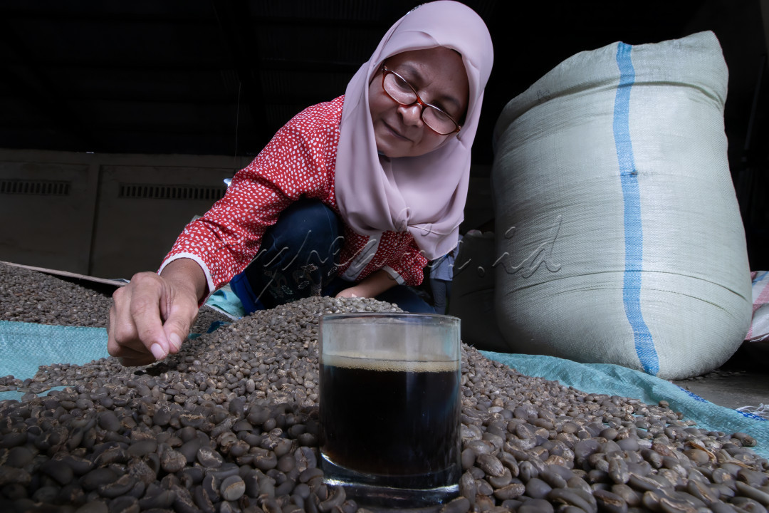 Walaupun sudah ibu tersebut sudah memasuki usia tua akan tetapi masih tetap produktif didalam mencari rezeki. Beliau bertugas memilih biji kopi yang akan di pasarkan. Usaha UMKM ini memanfaatkan ibu-ibu rumah tangga yang ingin menambah penghasilan ekonomi keluarganya.&nbsp;