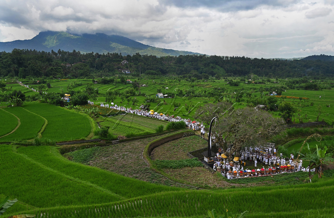 Suasana Upacara Melasti di Desa Ababi, Karangasem yang diikuti oleh masyarakat berbagai desa setelah usai dari pura beji setempat melewati pematang sawah.