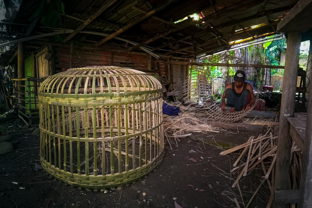 Pengrajin songkok ayam demi menghidupi sebuah keluarga kecil.