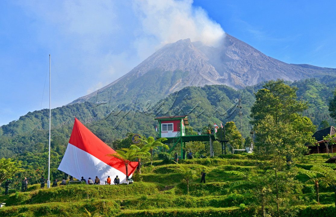 Warga lereng Gunung Merapi merayakan hari kemerdekaan Republik Indonesia yang ke 79 dengan pengibaran Bendera Putih Merah Raksasa di Glagahharjo, Cangkringan, Sleman, Yogyakarta.&nbsp;