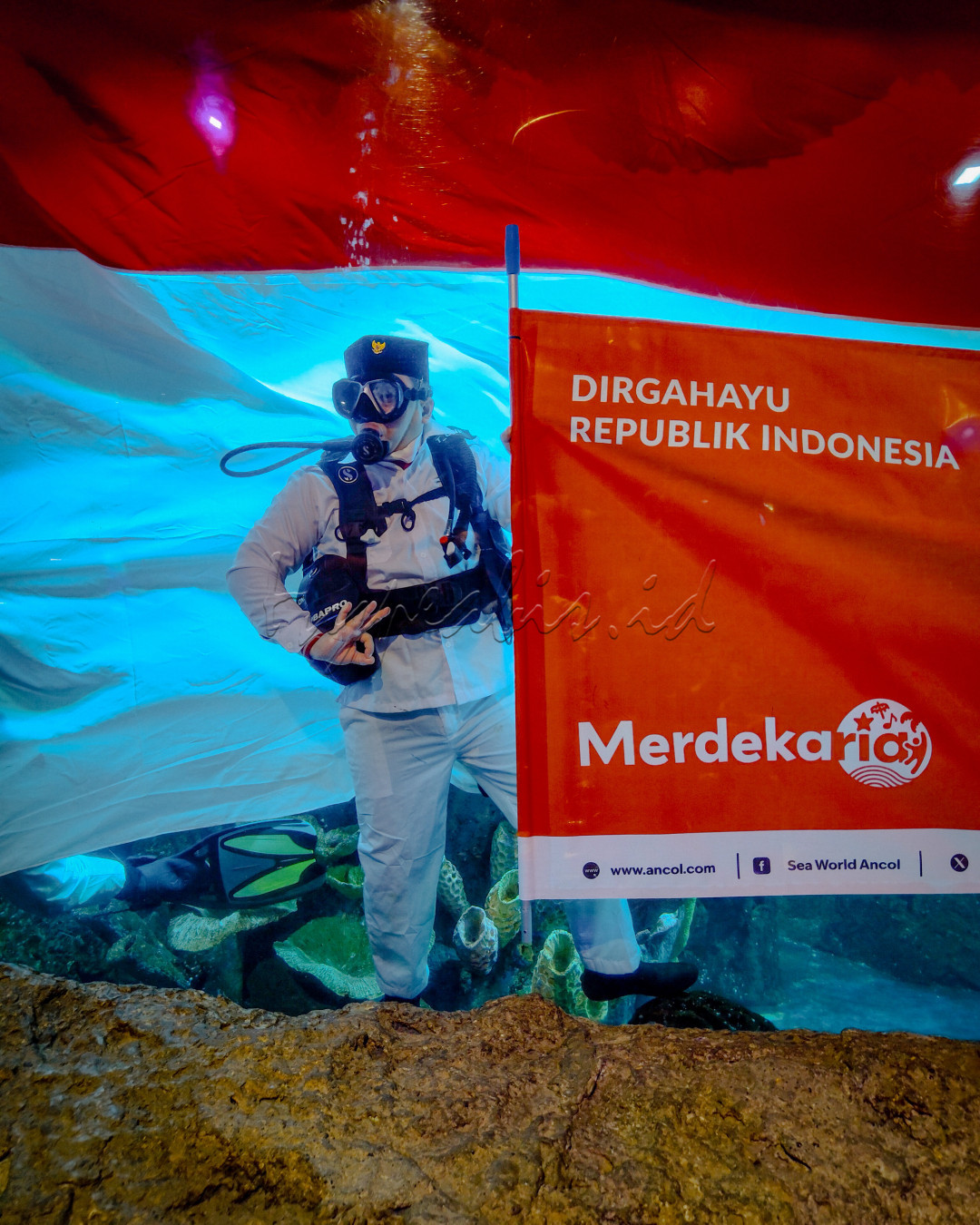 Seorang penyelam patriotik merayakan HUT ke-79 Republik Indonesia di kedalaman laut, mengibarkan bendera merah putih dengan bangga. Dirgahayu Republik Indonesia, semoga semangat kemerdekaan terus berkibar sampai ke dasar lautan!