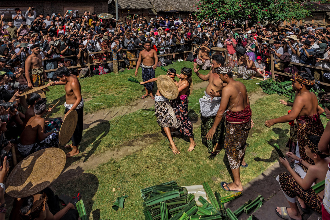 Perang Pandan adalah tradisi unik yang dilakukan oleh masyarakat Desa Tenganan di Bali, Indonesia. Perang Pandan juga dikenal sebagai "mekare-kare" dalam bahasa setempat. Tradisi ini biasanya dilakukan sebagai bagian dari upacara sakral dalam perayaan usaha pertanian, dan sering kali terjadi pada bulan Juni setelah panen padi.<br />
<br />
Dalam Perang Pandan, para pemuda desa akan berduel satu lawan satu menggunakan daun pandan yang telah dipotong dengan ujungnya yang tajam. Daun pandan ini dianggap sebagai simbol keberanian dan kekuatan. Mereka akan berhadapan satu sama lain dengan menyabetkan daun pandan tersebut secara bergantian sambil terus bergerak dan menghindari serangan lawan. Selain itu, mereka juga akan menggunakan perisai tradisional untuk melindungi diri.<br />
<br />
Meskipun terlihat seperti pertarungan yang keras, Perang Pandan sebenarnya memiliki makna yang lebih dalam. Ini adalah simbol dari keberanian, semangat gotong royong, dan persatuan antara masyarakat desa. Melalui pertarungan ini, para pemuda mengasah keterampilan bela diri dan memperkuat ikatan persaudaraan di antara mereka. Tradisi ini juga dianggap sebagai cara untuk membersihkan diri dari segala dosa dan kesalahan yang dilakukan selama setahun, serta untuk membawa kesuburan dan keberkahan bagi tanah pertanian mereka.<br />
<br />
Perang Pandan di Desa Tenganan bukan hanya sekadar pertunjukan fisik, tetapi juga merupakan warisan budaya yang dijaga dan dilestarikan oleh masyarakat setempat sebagai bagian penting dari identitas dan kepercayaan mereka. Tradisi ini telah menjadi daya tarik budaya bagi wisatawan yang ingin merasakan keunikan dan keindahan tradisi Bali yang autentik.