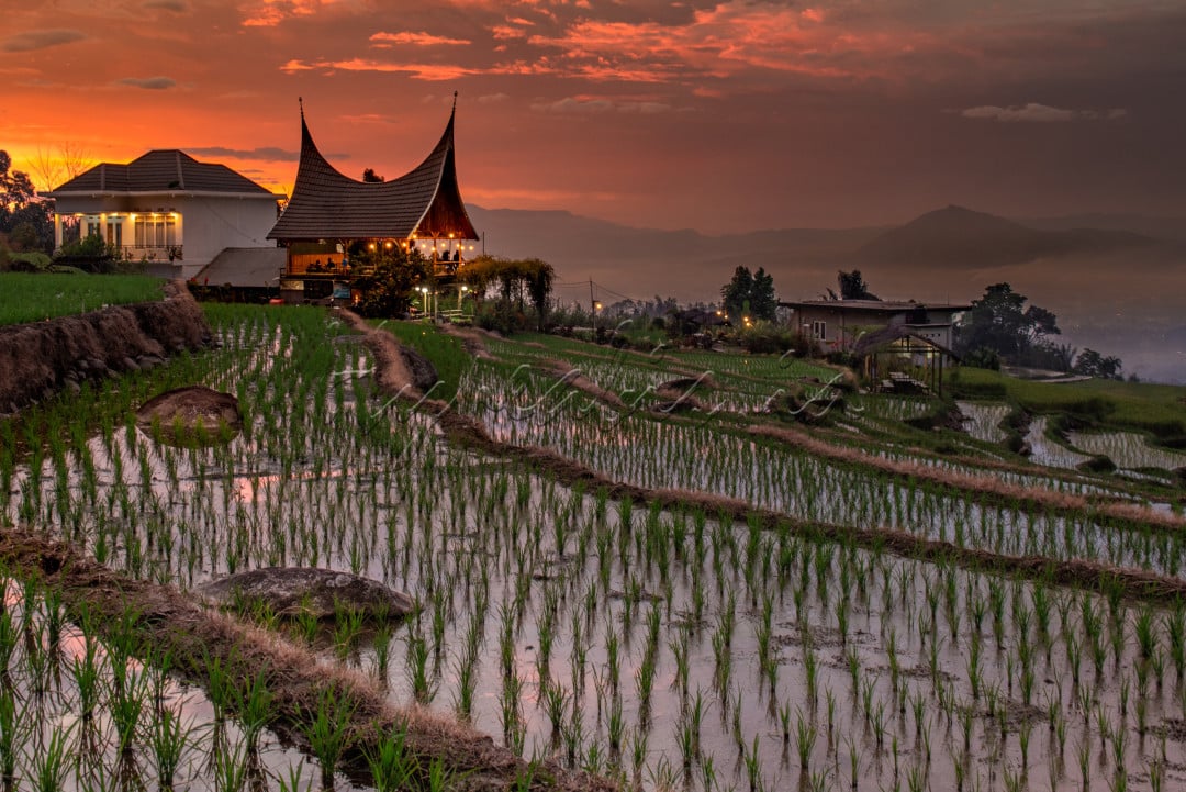 Sunset di Alam Minangkabau Sumatera Barat