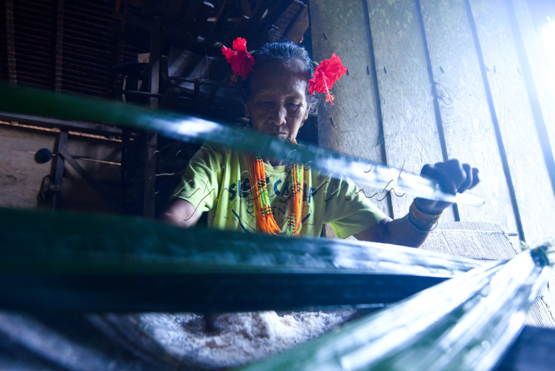 Aktivitas Perempuan Mentawai, Mengolah Sagu. Sagu merupakan makanan pokok suku Mentawai, Diolah secara sederhana dengan cara diparut kering menjadi tepung lalu dibungkus dengan daun kelapa kemudian dibakar.&nbsp;