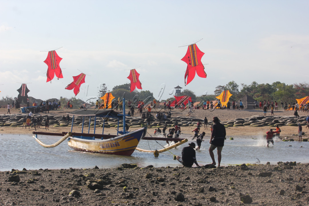 Beberapa layangan tradisional Bali yang bernama layangan Bebean bersiap mengudara pada acara Kite's Tradisional di Pantai Sanur, Bali.