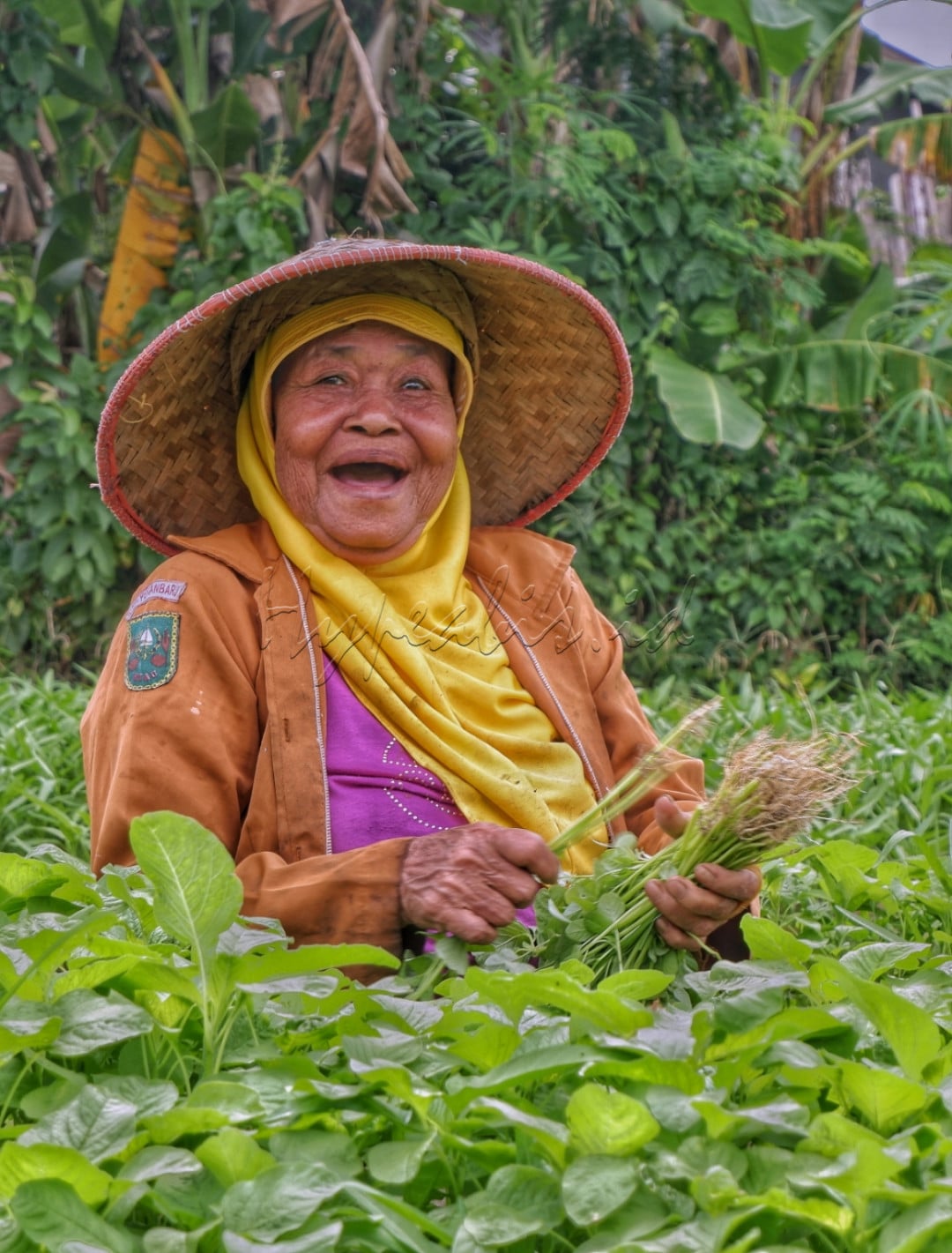 Senyum adalah salah satu Budaya Indonesia yang sangat melekat dalam kehidupan sehari-hari masyarakatnya. Senyum juga menjadi penyemangat untuk menjalani rutinitas, seperti senyuman seorang Ibu Petani Sayur yang menyiratkan semangat bekerja walau di usia senja.