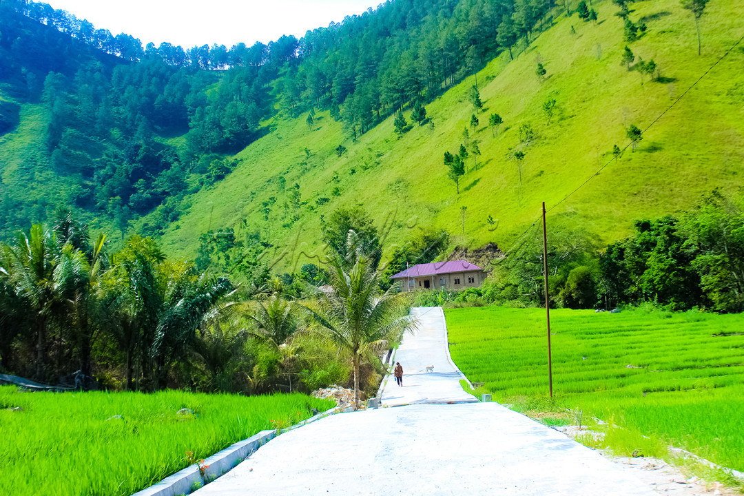 Perbukitan hijau Pulau Samosir adalah panorama indah yang mengitari Danau Toba.&nbsp;