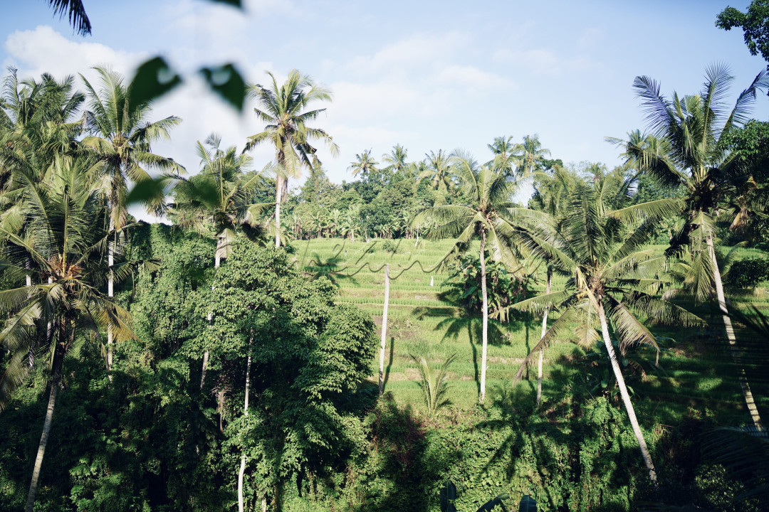 Mata seolah dimanjakan oleh pemandangan hijau, dihiasi pohon kelapa dan pisang serta terasering sawah. Pemandangan ini seolah mengajak kita untuk mendatangi tempat ini yang berlokasi di Kissidan Eco Hills , Desa Sidan, Kab.Gianyar, Bali.