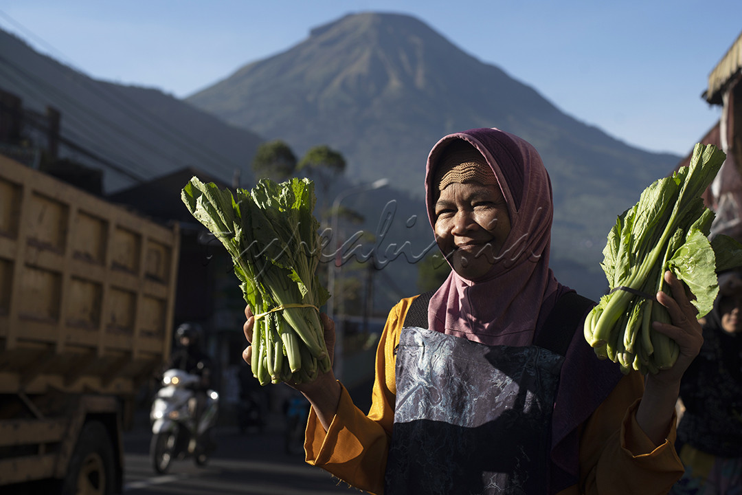 Potret seorang pedagang sayuran di pasar Kajajar di kawasan Dieng Jawa Tengah. Pasar ini dapatlah dikatakan sebagai pasar terindah di Indonesia, pasar yang terletak di dataran tinggi dengan latar belakang pegunungan. Aktifitas pedagang dengan pembeli dengan latar gunung Sindoro merupakan perpaduan suatu pemandangan yang sulit untuk dilupakan. Kalau berkunjung ke Dieng jangan lupa mampir ke pasar Kajajar untuk menikmati indahnya Wajah Indonesia.