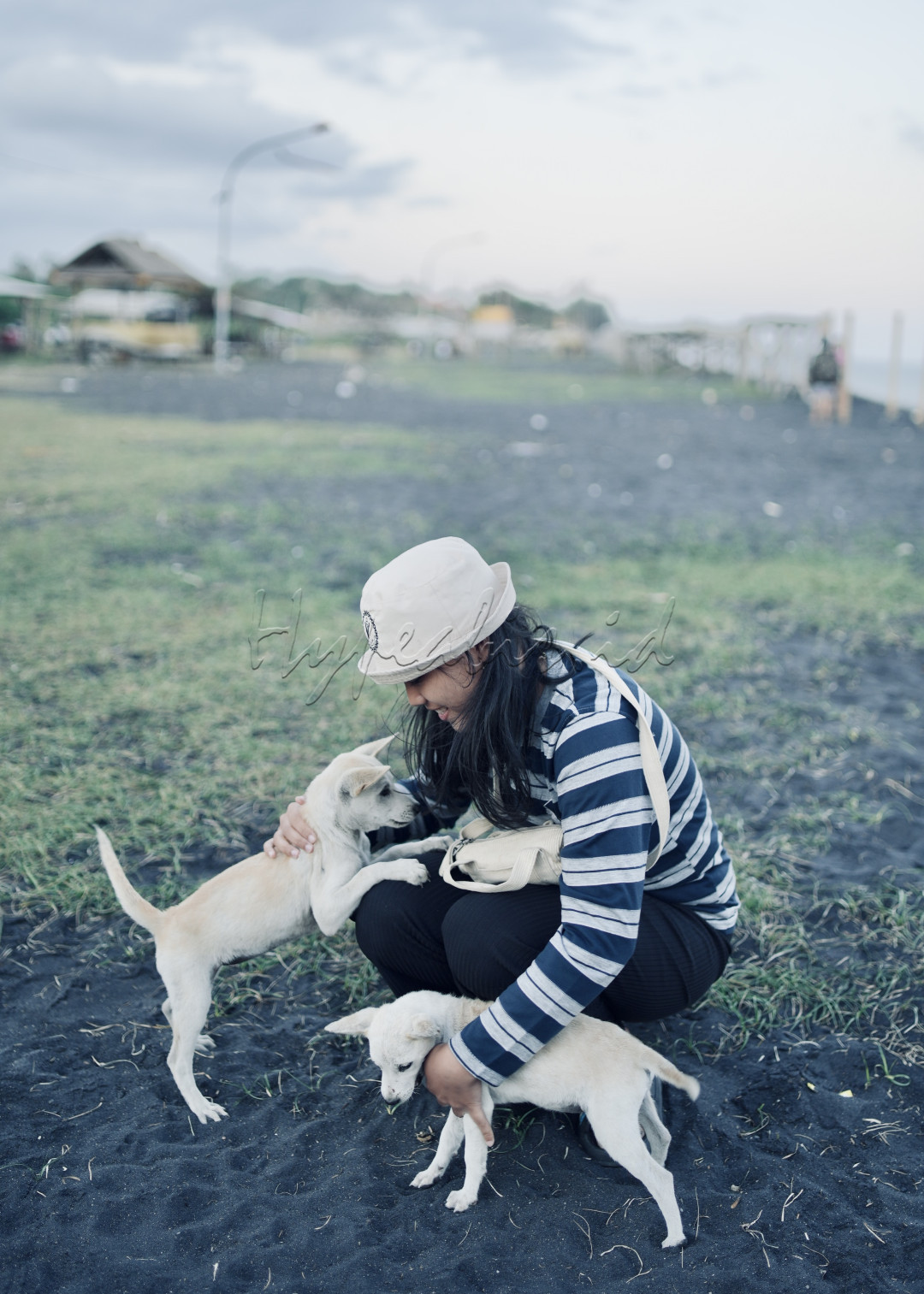 Seorang sedang menunjukkan kelembutan cinta dan kasih saat ia bermain dengan dua anak anjing. Latar belakang yang sedikit buram dengan nuansa senja dari sorenya pantai menambah suasana hangat dan damai dalam momen indah ini. Mereka tampak saling menikmati kebersamaan, menciptakan momen tak terlupakan yang penuh kasih sayang di alam terbuka.