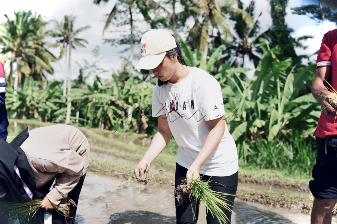 Matahari pagi menerangi pemandangan, memberikan cahaya hangat yang memantulkan kilauan di permukaan air sawah. Teriknya sinar matahari tidak menghalangi semangat anak muda untuk bereksplorasi dan menyatu dengan alam yaitu menanam padi di sawah