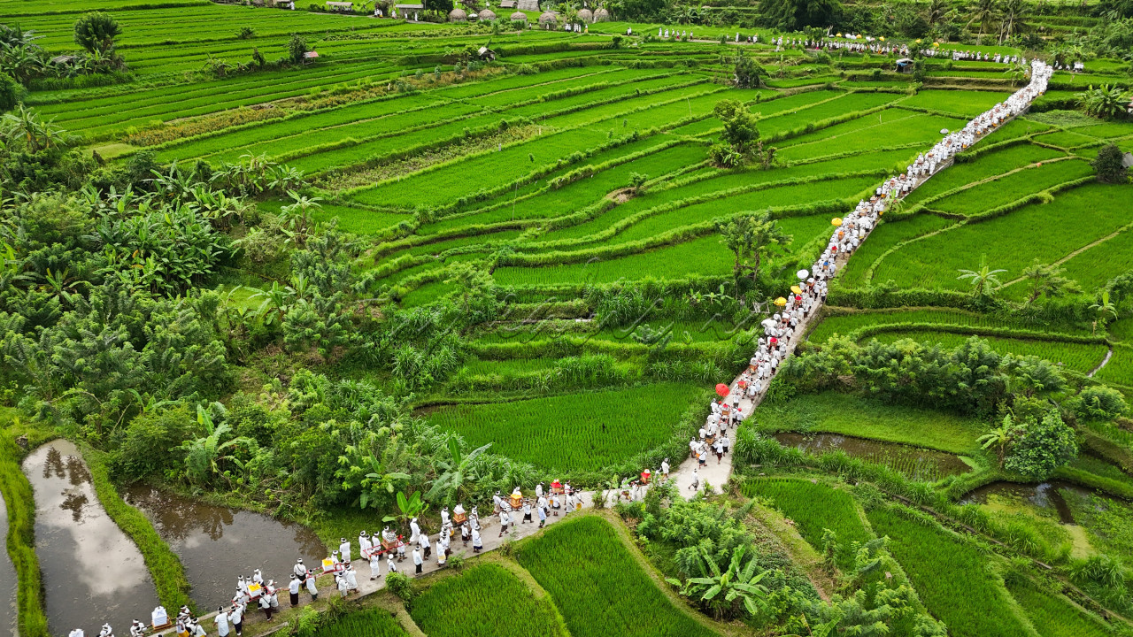 Barisan prosesi melasti yang melintasi indahnya area persawahan di desa Ababi, Karangasem, Bali