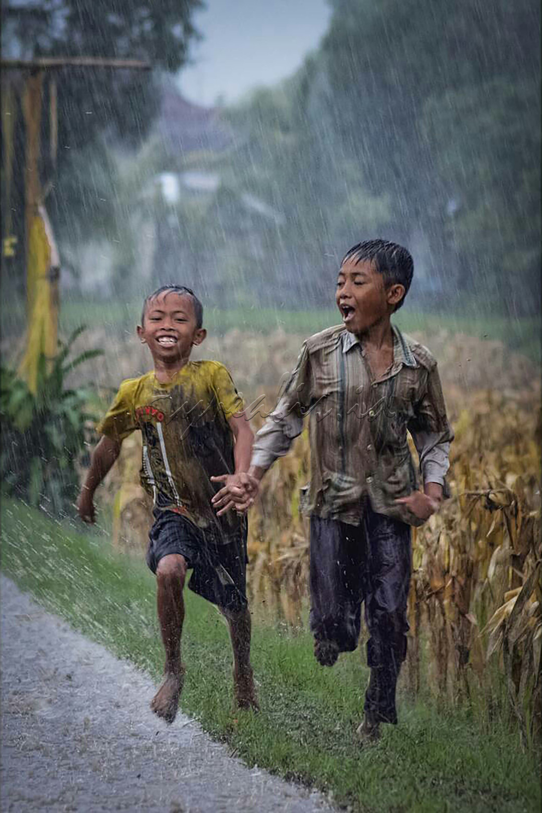 Dua anak laki-laki yang terlihat bahagia berlari di bawah guyuran hujan di tengah ladang.