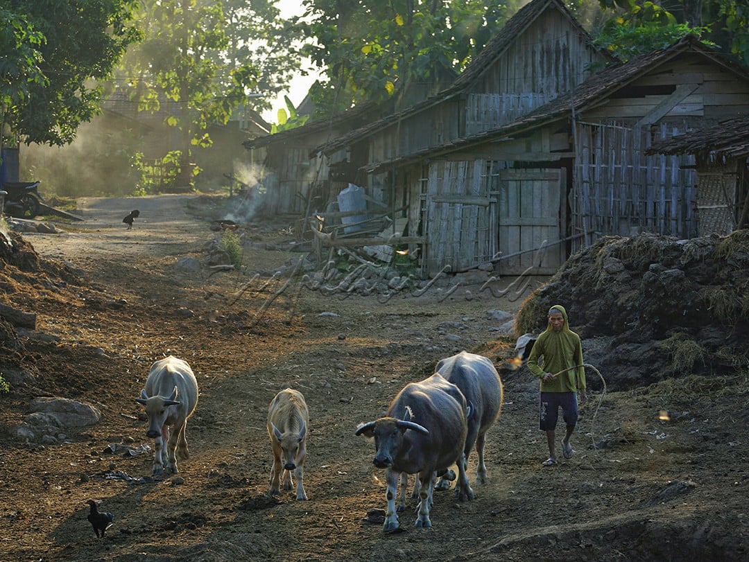 Suasana kampung kebo bulakpepe Ngawi pada sore hari